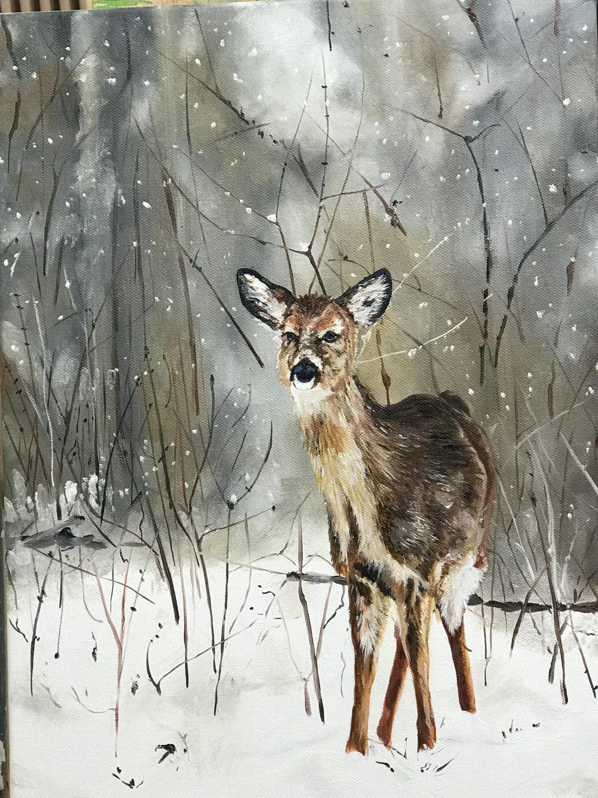 Reh / Deer • Ölmalerei / Oil Painting Reh / Deer • Ölmalerei / Oil Painting