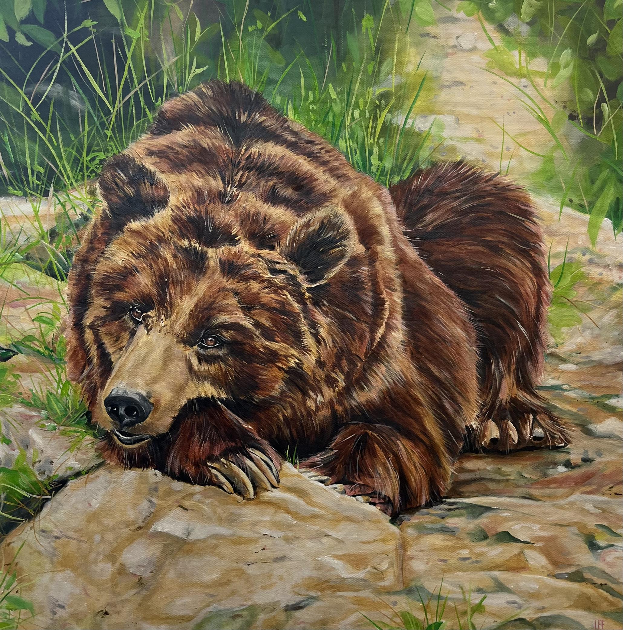 Bär / Bear • Ölmalerei / Oil Painting Bär / Bear • Ölmalerei / Oil Painting