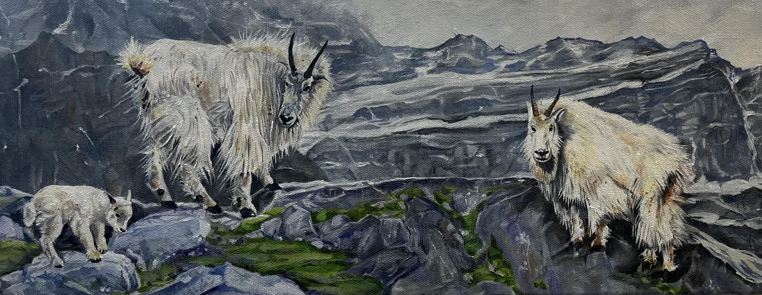 Ziege / Goat • Ölmalerei / Oil Painting Ziege / Goat • Ölmalerei / Oil Painting